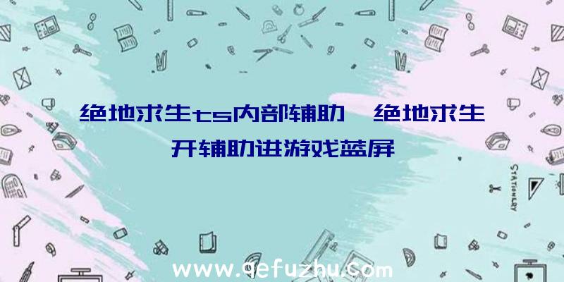 绝地求生ts内部辅助、绝地求生开辅助进游戏蓝屏