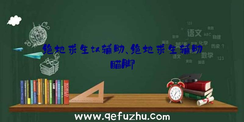 绝地求生tx辅助、绝地求生辅助瞄脚