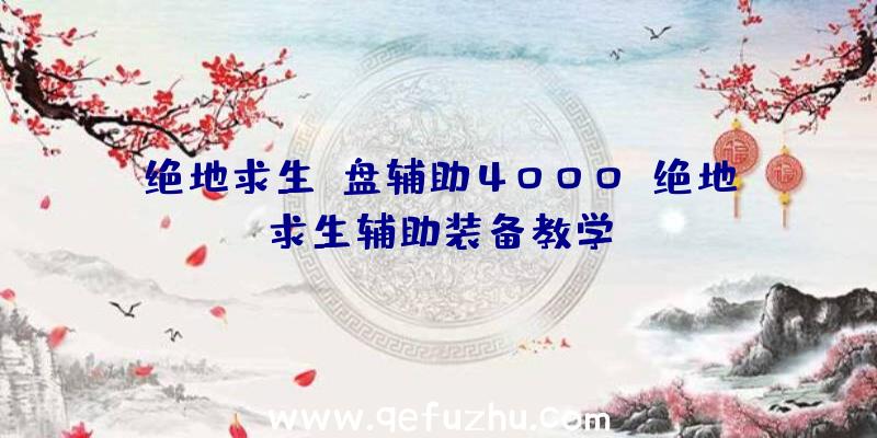 绝地求生u盘辅助4000、绝地求生辅助装备教学