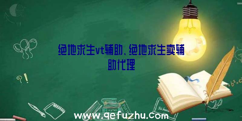 绝地求生vt辅助、绝地求生卖辅助代理