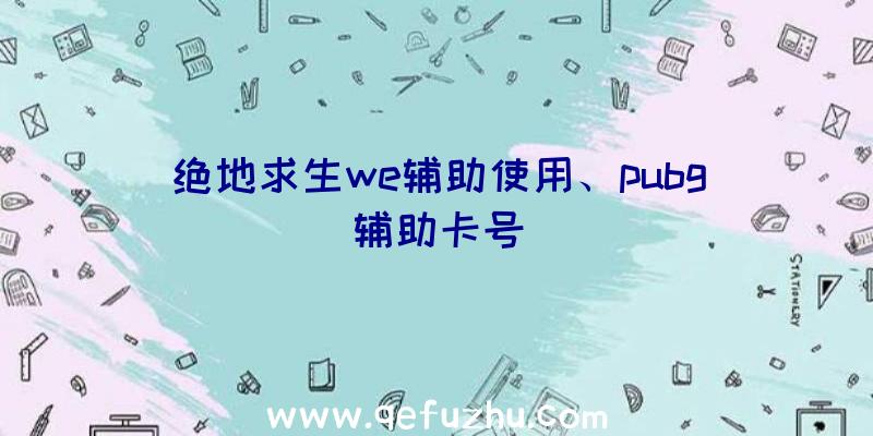 绝地求生we辅助使用、pubg辅助卡号