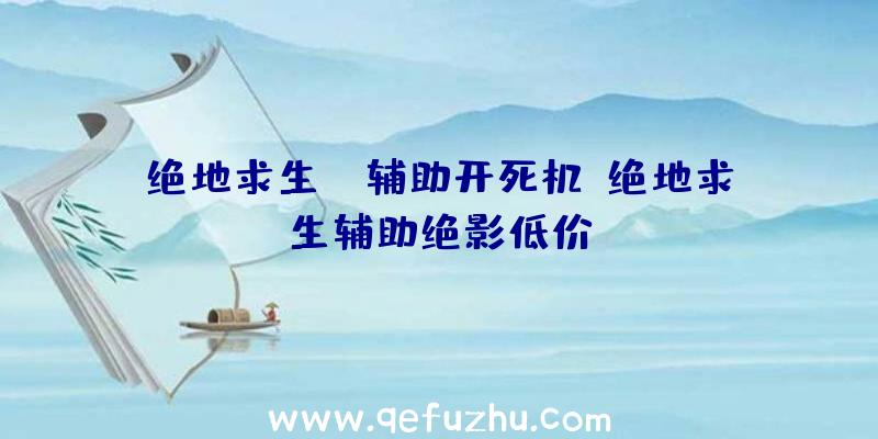 绝地求生we辅助开死机、绝地求生辅助绝影低价