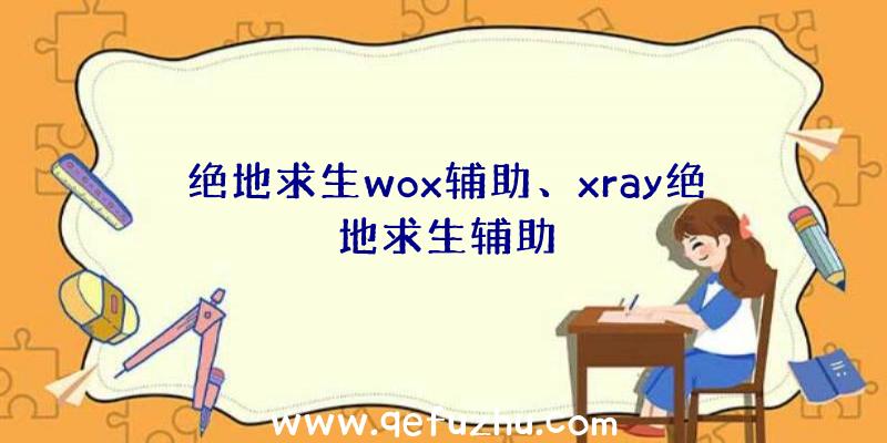 绝地求生wox辅助、xray绝地求生辅助