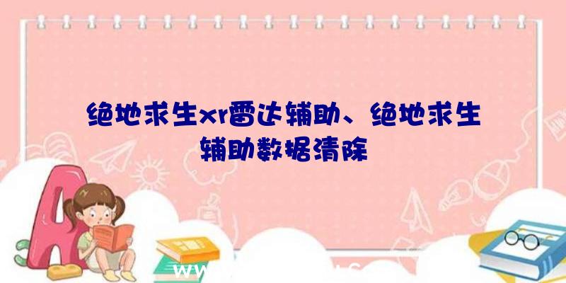 绝地求生xr雷达辅助、绝地求生辅助数据清除