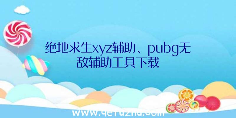 绝地求生xyz辅助、pubg无敌辅助工具下载