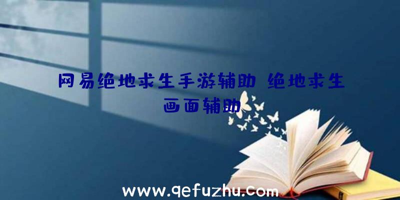 网易绝地求生手游辅助、绝地求生画面辅助