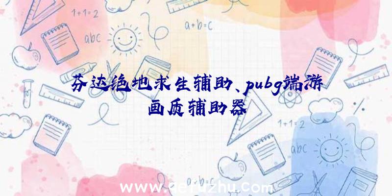 芬达绝地求生辅助、pubg端游画质辅助器