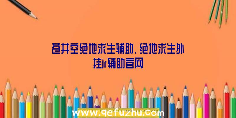 苍井空绝地求生辅助、绝地求生外挂jr辅助官网