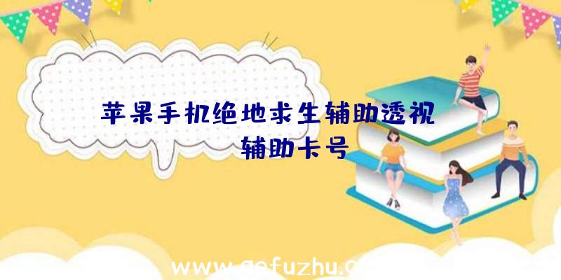 苹果手机绝地求生辅助透视、pubg辅助卡号