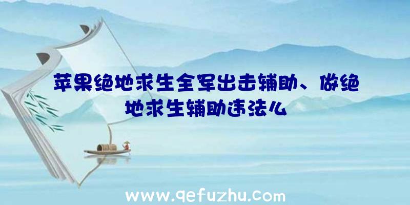 苹果绝地求生全军出击辅助、做绝地求生辅助违法么