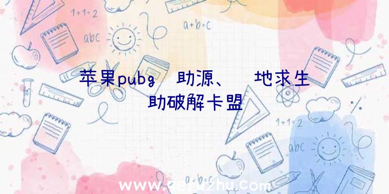 苹果pubg辅助源、绝地求生辅助破解卡盟