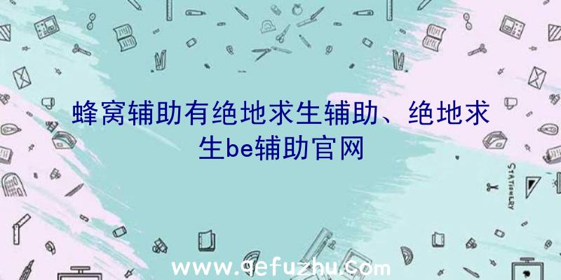 蜂窝辅助有绝地求生辅助、绝地求生be辅助官网