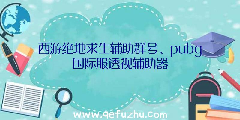 西游绝地求生辅助群号、pubg国际服透视辅助器