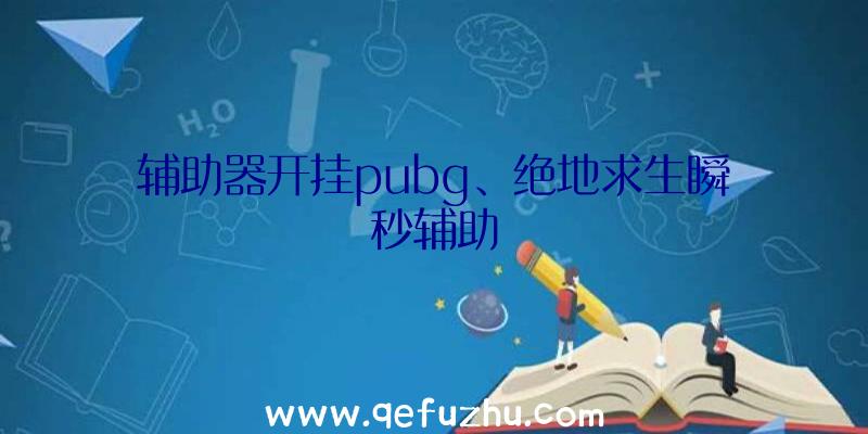 辅助器开挂pubg、绝地求生瞬秒辅助