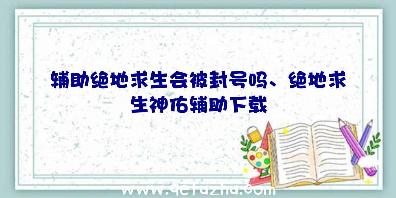 辅助绝地求生会被封号吗、绝地求生神佑辅助下载