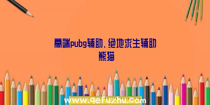 高端pubg辅助、绝地求生辅助