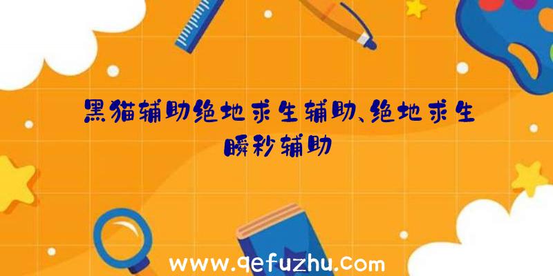 黑猫辅助绝地求生辅助、绝地求生瞬秒辅助