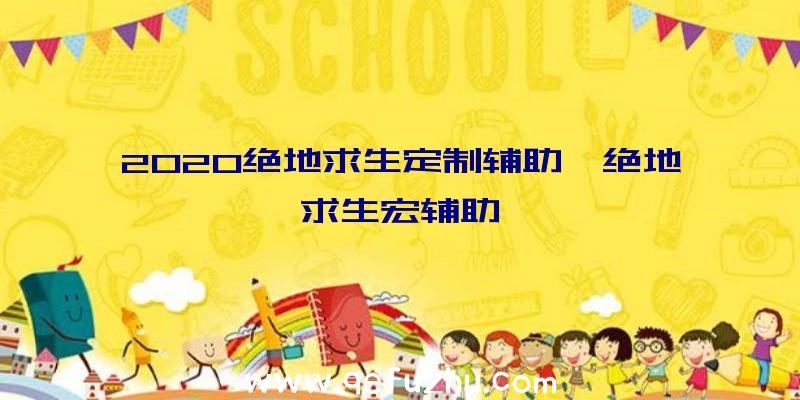 2020绝地求生定制辅助、绝地求生宏辅助