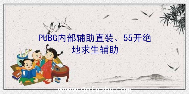 PUBG内部辅助直装、55开绝地求生辅助