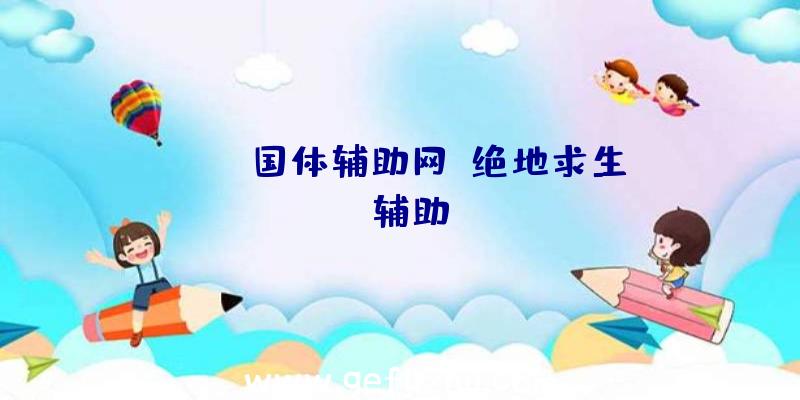 PUBG国体辅助网、绝地求生wk辅助