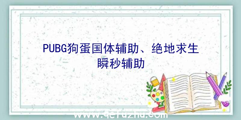 PUBG狗蛋国体辅助、绝地求生瞬秒辅助