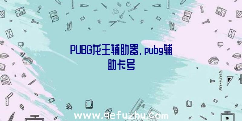 PUBG龙王辅助器、pubg辅助卡号