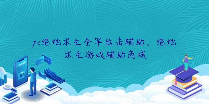 pc绝地求生全军出击辅助、绝地求生游戏辅助商城