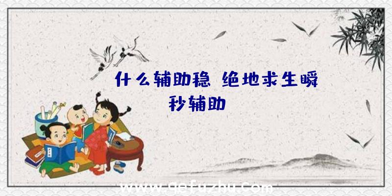 pubg什么辅助稳、绝地求生瞬秒辅助