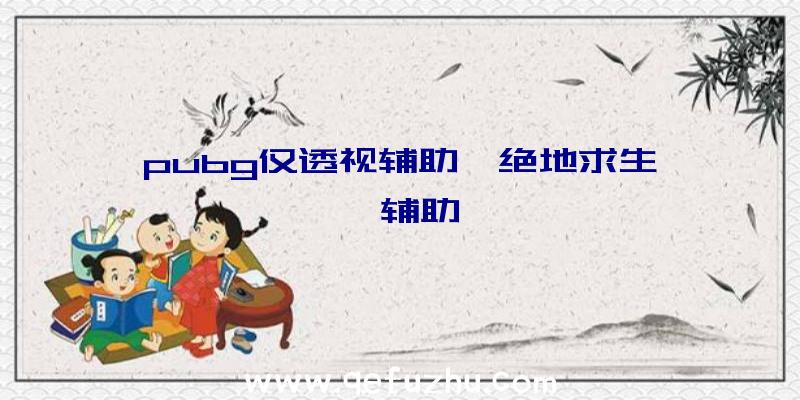 pubg仅透视辅助、绝地求生迪迦辅助