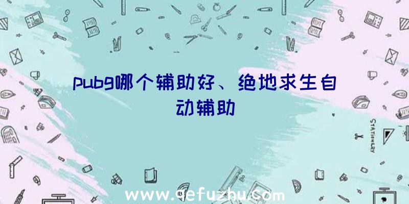 pubg哪个辅助好、绝地求生自动辅助