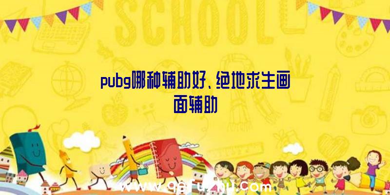 pubg哪种辅助好、绝地求生画面辅助