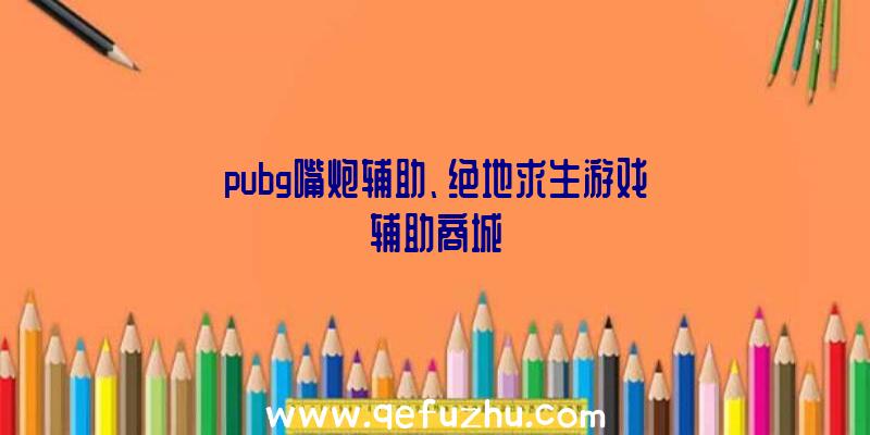 pubg嘴炮辅助、绝地求生游戏辅助商城