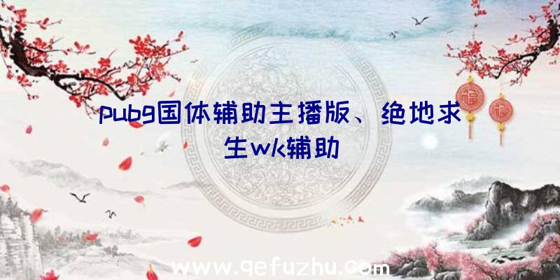 pubg国体辅助主播版、绝地求生wk辅助