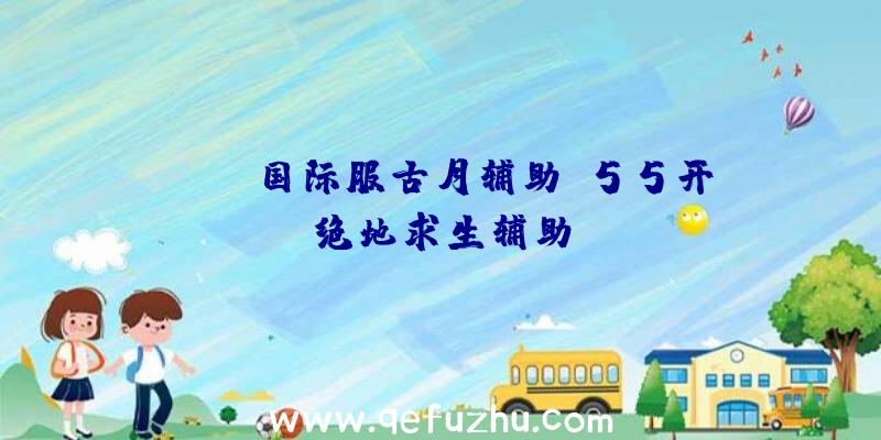 pubg国际服古月辅助、55开绝地求生辅助