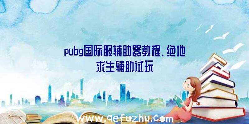 pubg国际服辅助器教程、绝地求生辅助试玩