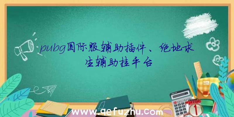 pubg国际服辅助插件、绝地求生辅助挂平台