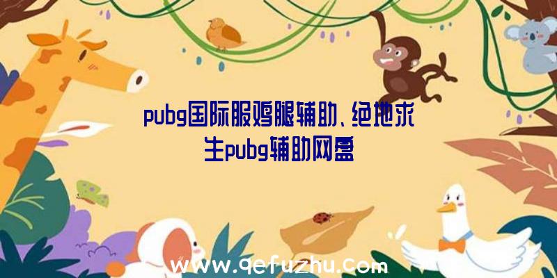 pubg国际服鸡腿辅助、绝地求生pubg辅助网盘