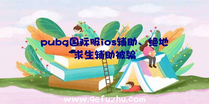 pubg国际服ios辅助、绝地求生辅助被骗