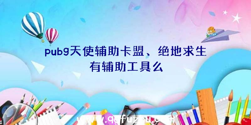 pubg天使辅助卡盟、绝地求生有辅助工具么