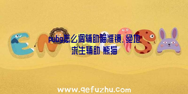 pubg怎么调辅助瞄准镜、绝地求生辅助