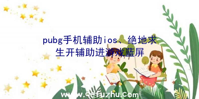 pubg手机辅助ios、绝地求生开辅助进游戏蓝屏