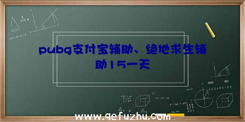 pubg支付宝辅助、绝地求生辅助15一天