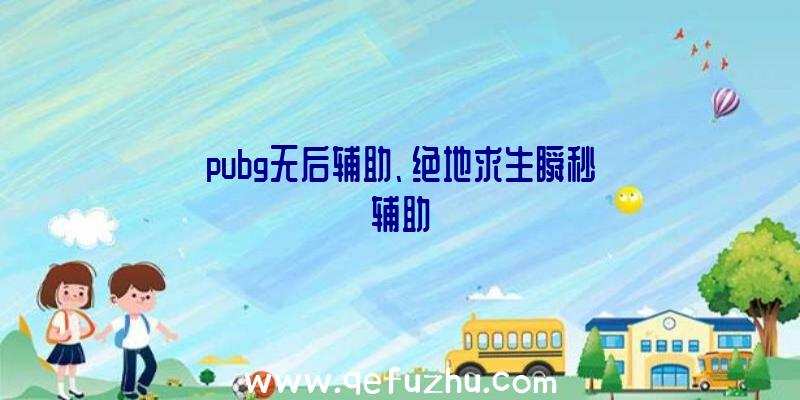 pubg无后辅助、绝地求生瞬秒辅助