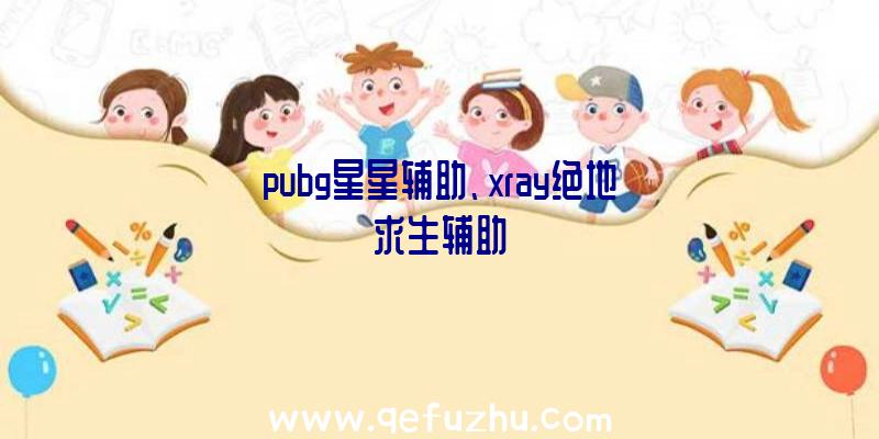 pubg星星辅助、xray绝地求生辅助