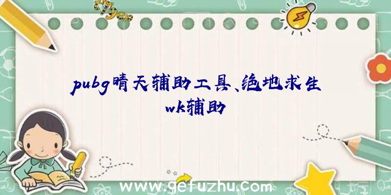 pubg晴天辅助工具、绝地求生wk辅助