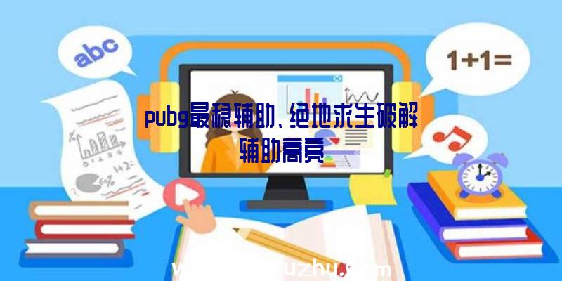 pubg最稳辅助、绝地求生破解辅助高亮