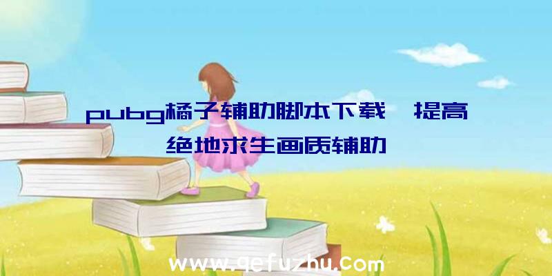 pubg橘子辅助脚本下载、提高绝地求生画质辅助