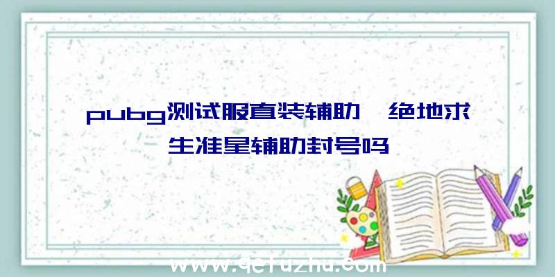 pubg测试服直装辅助、绝地求生准星辅助封号吗