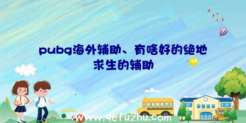 pubg海外辅助、有啥好的绝地求生的辅助