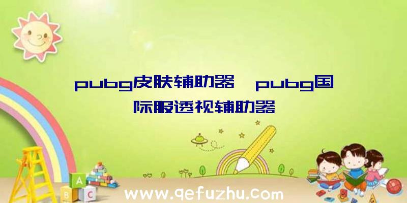 pubg皮肤辅助器、pubg国际服透视辅助器